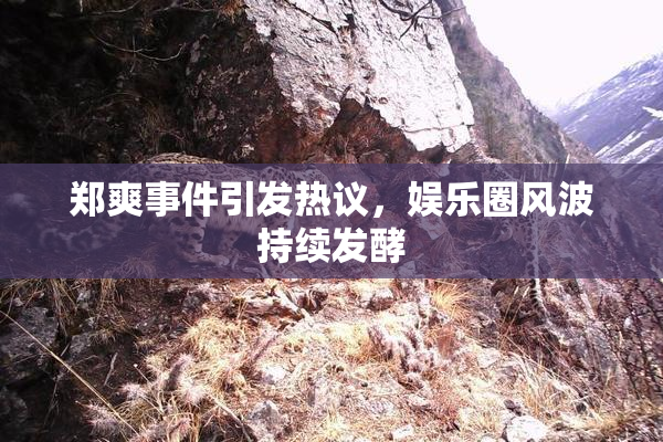 郑爽事件引发热议，娱乐圈风波持续发酵