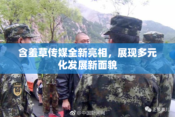 含羞草传媒全新亮相，展现多元化发展新面貌