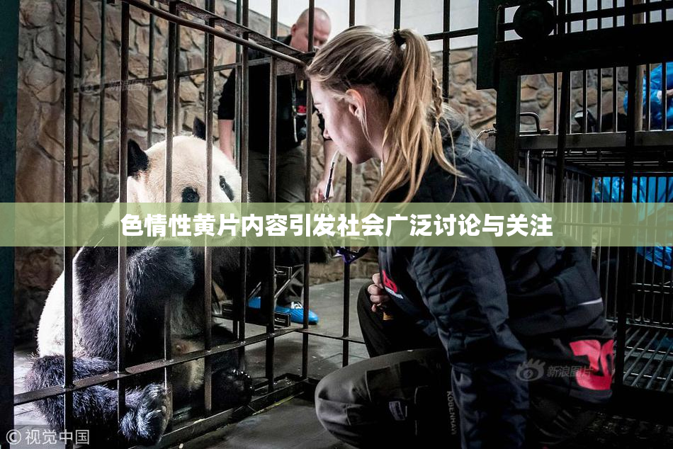 色情性黄片内容引发社会广泛讨论与关注