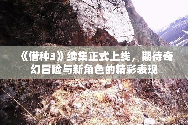 《借种3》续集正式上线，期待奇幻冒险与新角色的精彩表现