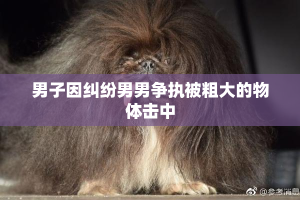 男子因纠纷男男争执被粗大的物体击中