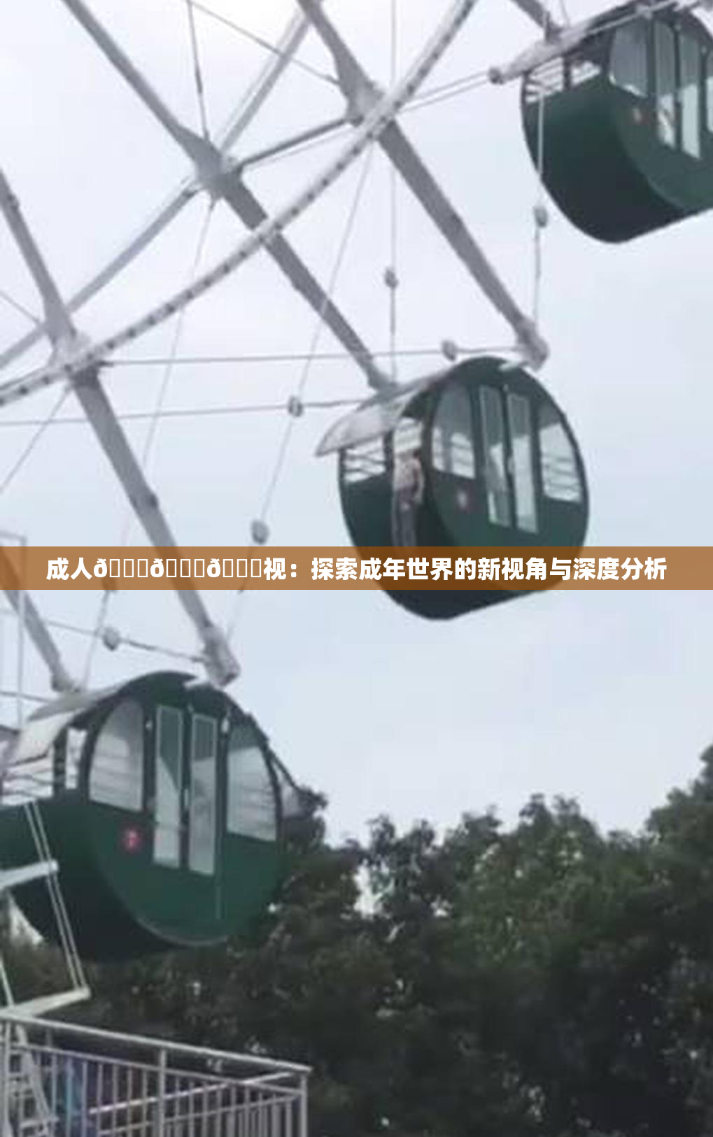 成人🍆🍑🔞视：探索成年世界的新视角与深度分析