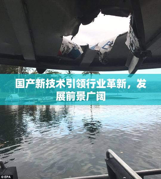 国产新技术引领行业革新，发展前景广阔