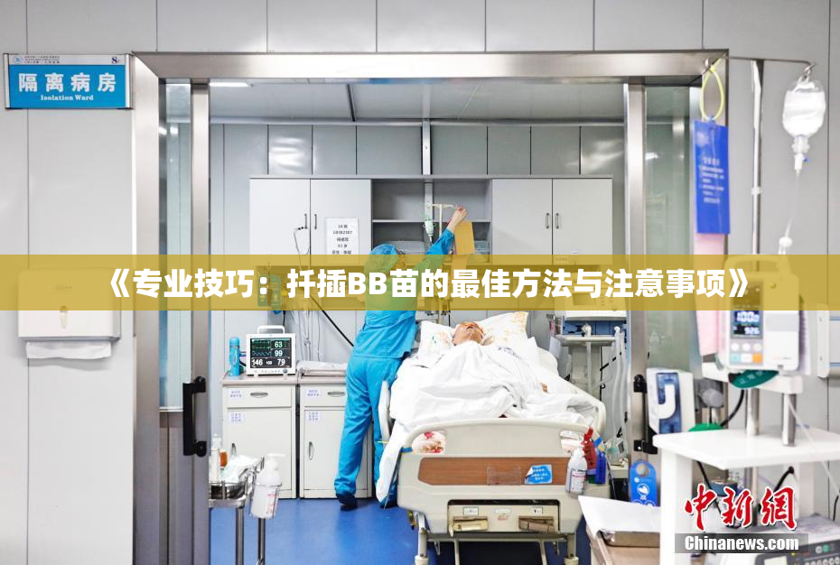 《专业技巧：扦插BB苗的最佳方法与注意事项》