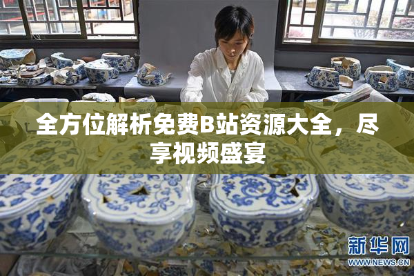 全方位解析免费B站资源大全，尽享视频盛宴