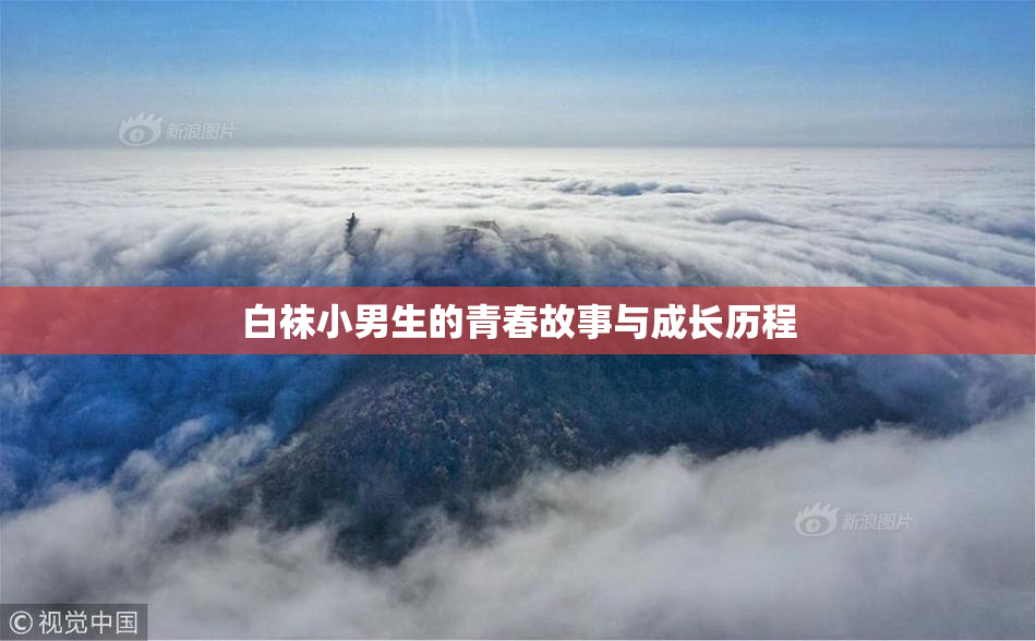 白袜小男生的青春故事与成长历程