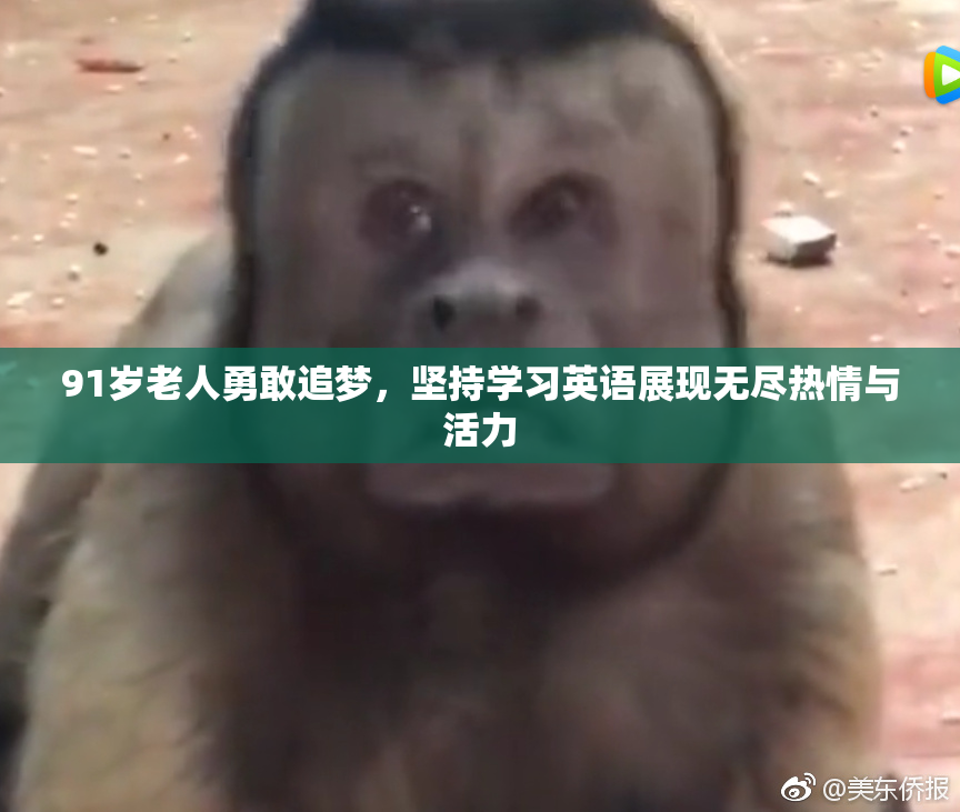 91岁老人勇敢追梦，坚持学习英语展现无尽热情与活力