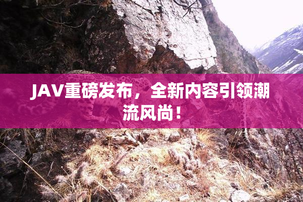 JAV重磅发布，全新内容引领潮流风尚！