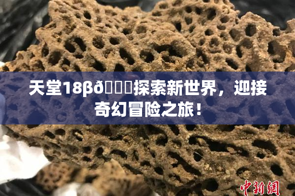 天堂18β🍆探索新世界，迎接奇幻冒险之旅！