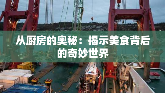 从厨房的奥秘：揭示美食背后的奇妙世界
