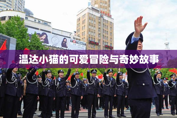 温达小猫的可爱冒险与奇妙故事