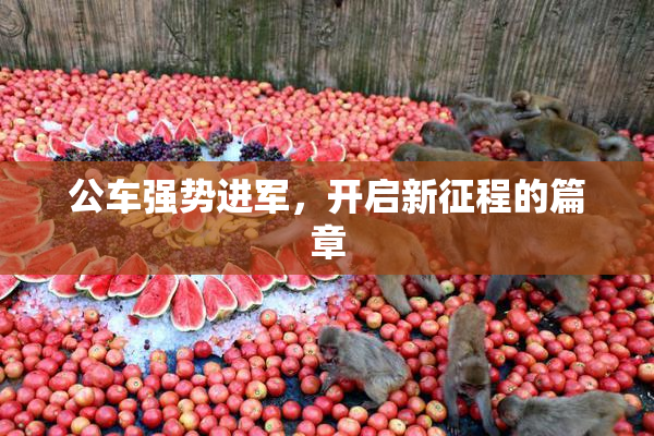 公车强势进军，开启新征程的篇章