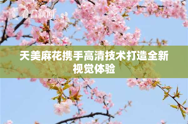 天美麻花携手高清技术打造全新视觉体验