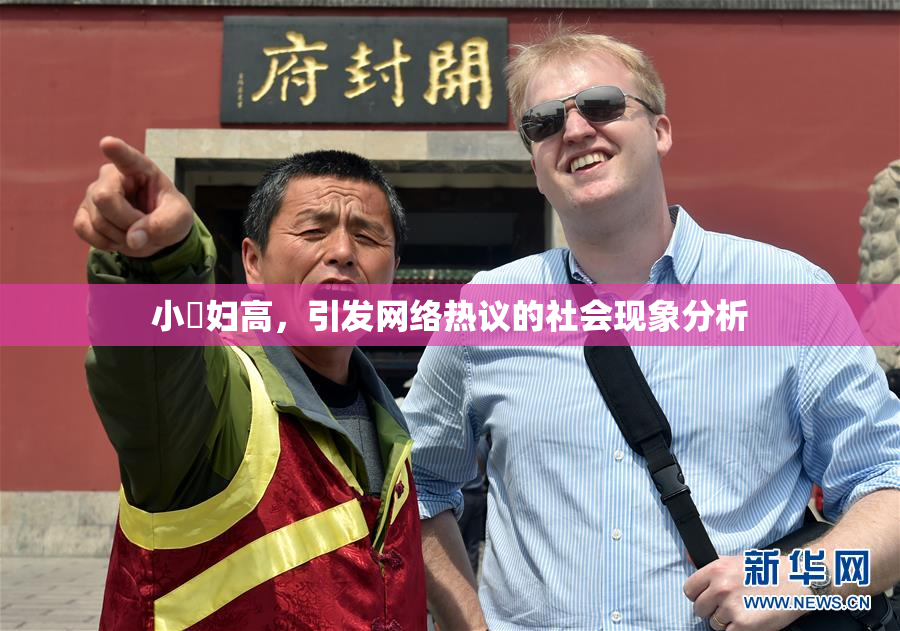 小婬妇高，引发网络热议的社会现象分析