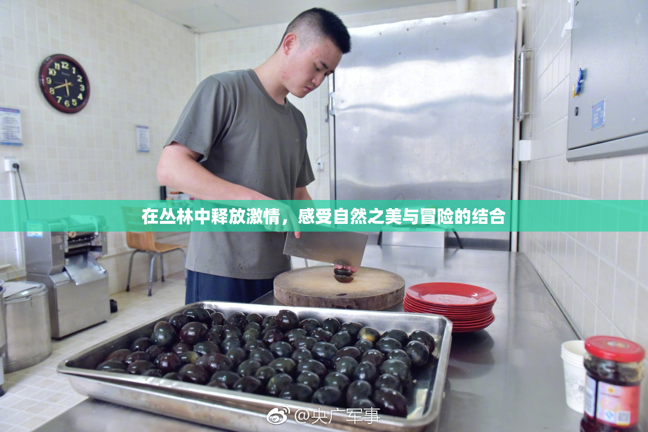 在丛林中释放激情，感受自然之美与冒险的结合
