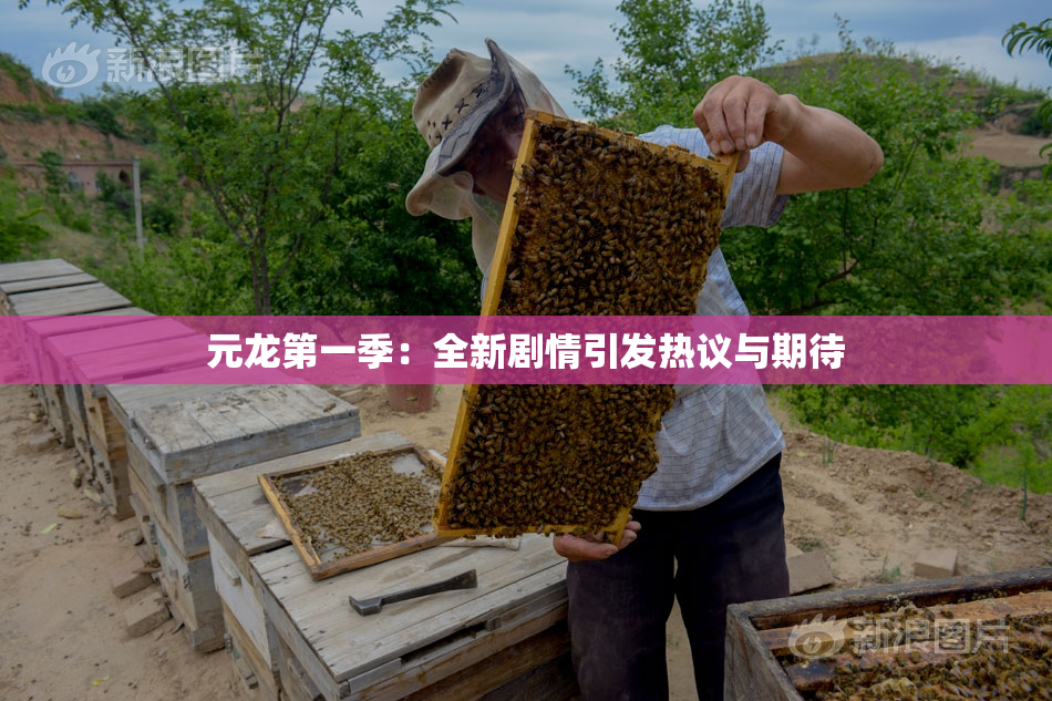 元龙第一季：全新剧情引发热议与期待