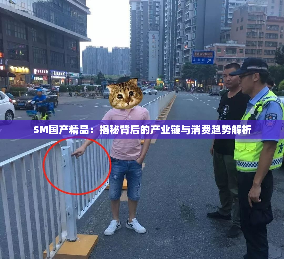 SM国产精品：揭秘背后的产业链与消费趋势解析