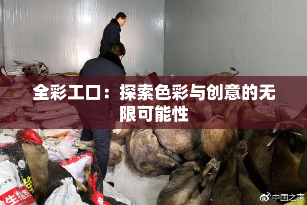 全彩工口：探索色彩与创意的无限可能性