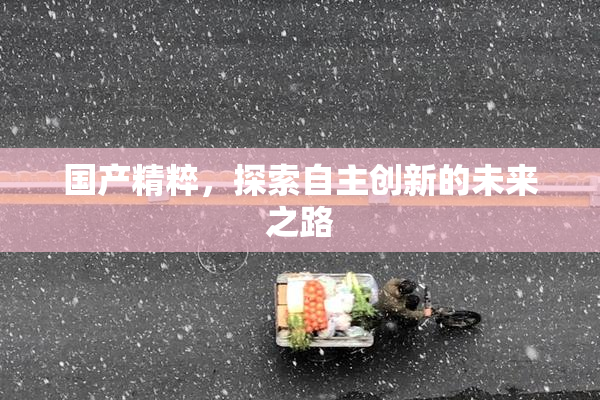 国产精粹，探索自主创新的未来之路