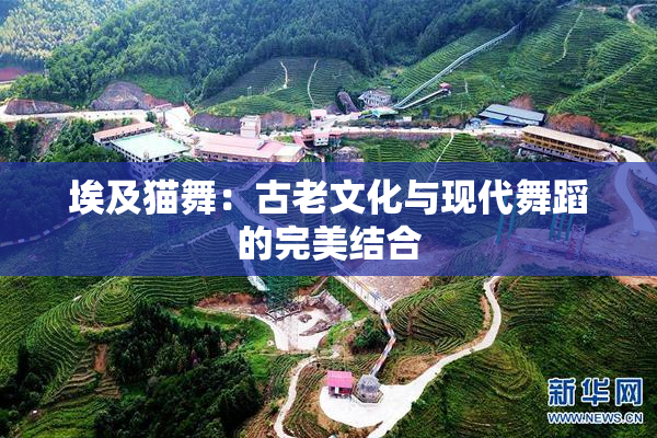 埃及猫舞：古老文化与现代舞蹈的完美结合
