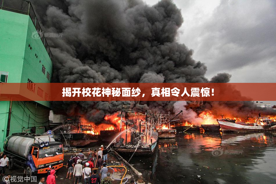 揭开校花神秘面纱，真相令人震惊！