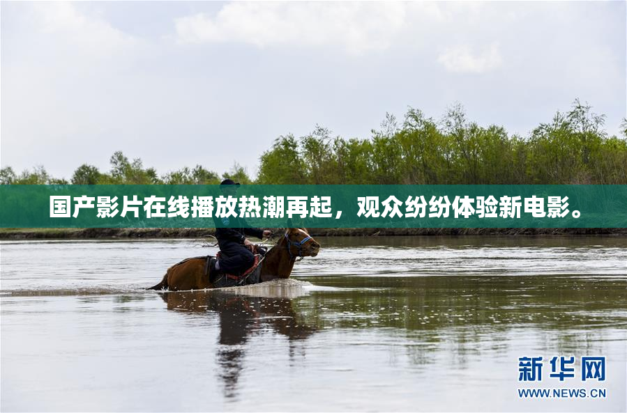 国产影片在线播放热潮再起，观众纷纷体验新电影。
