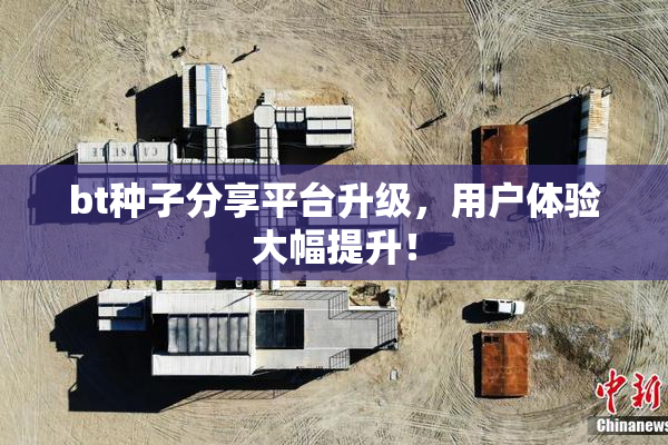 bt种子分享平台升级，用户体验大幅提升！