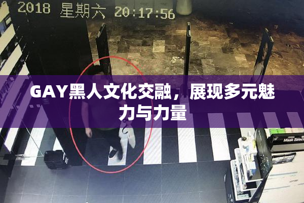 GAY黑人文化交融，展现多元魅力与力量
