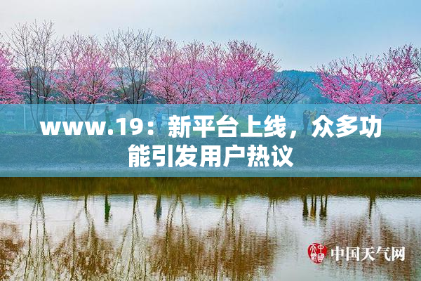 www.19：新平台上线，众多功能引发用户热议