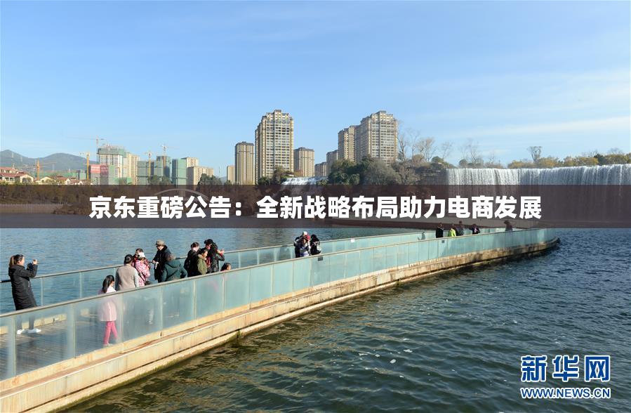 京东重磅公告：全新战略布局助力电商发展