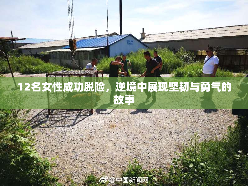 12名女性成功脱险，逆境中展现坚韧与勇气的故事