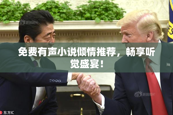 免费有声小说倾情推荐，畅享听觉盛宴！