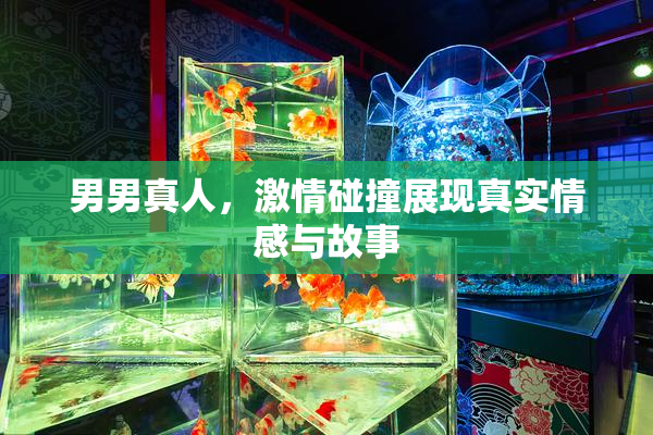 男男真人，激情碰撞展现真实情感与故事