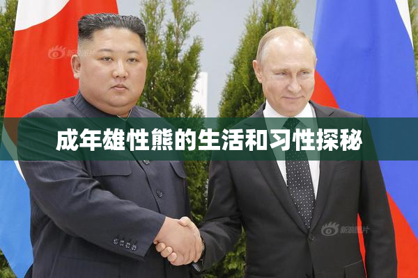 成年雄性熊的生活和习性探秘