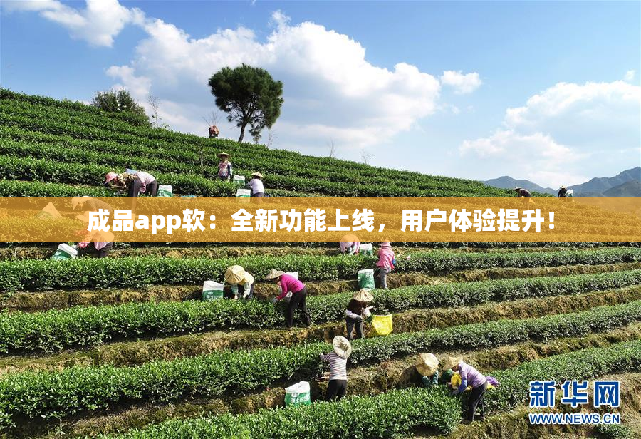 成品app软：全新功能上线，用户体验提升！