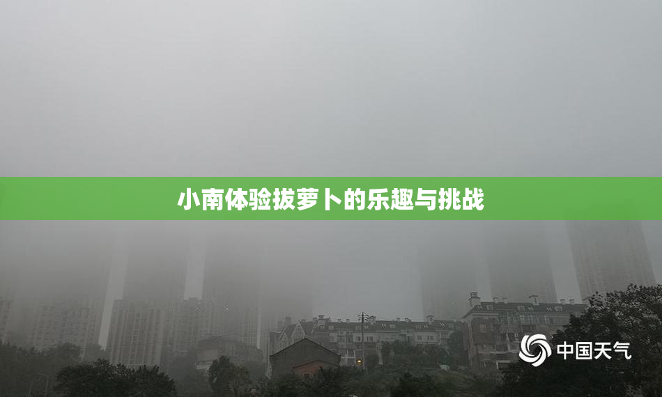 小南体验拔萝卜的乐趣与挑战