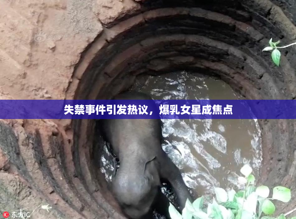 失禁事件引发热议，爆乳女星成焦点
