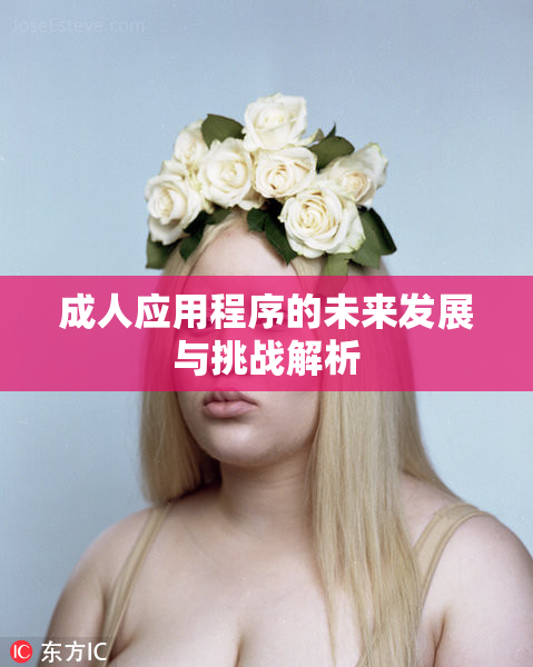 成人应用程序的未来发展与挑战解析