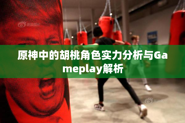 原神中的胡桃角色实力分析与Gameplay解析