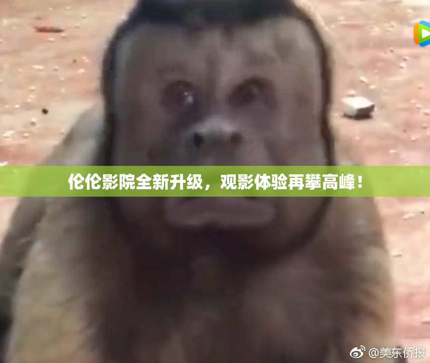 伦伦影院全新升级，观影体验再攀高峰！