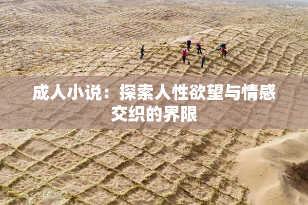 成人小说：探索人性欲望与情感交织的界限