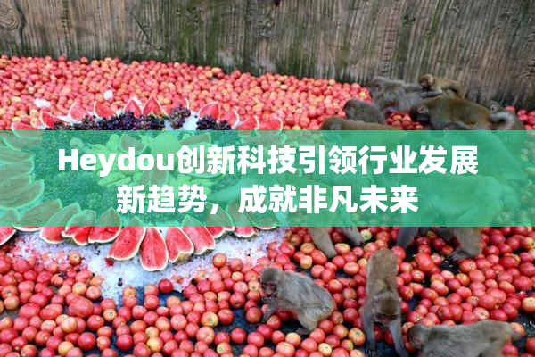 Heydou创新科技引领行业发展新趋势，成就非凡未来