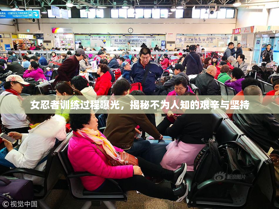 女忍者训练过程曝光，揭秘不为人知的艰辛与坚持