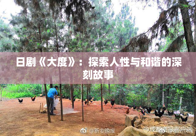 日剧《大度》：探索人性与和谐的深刻故事