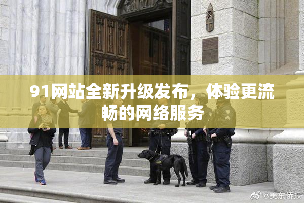 91网站全新升级发布，体验更流畅的网络服务