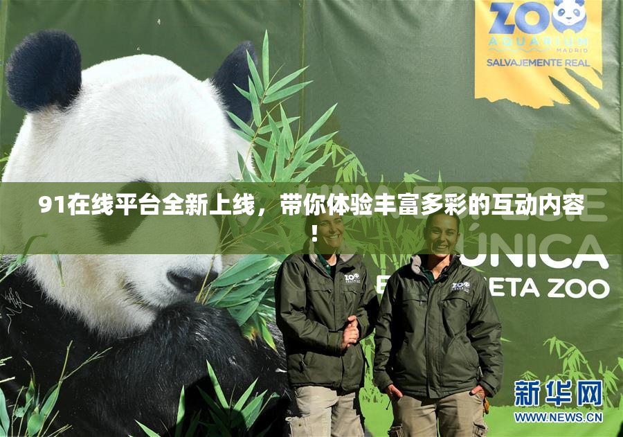 91在线平台全新上线，带你体验丰富多彩的互动内容！