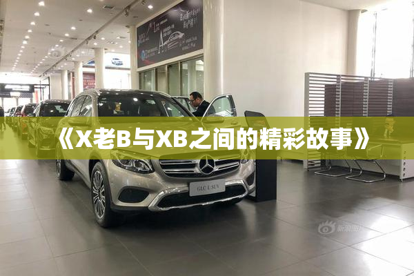 《X老B与XB之间的精彩故事》
