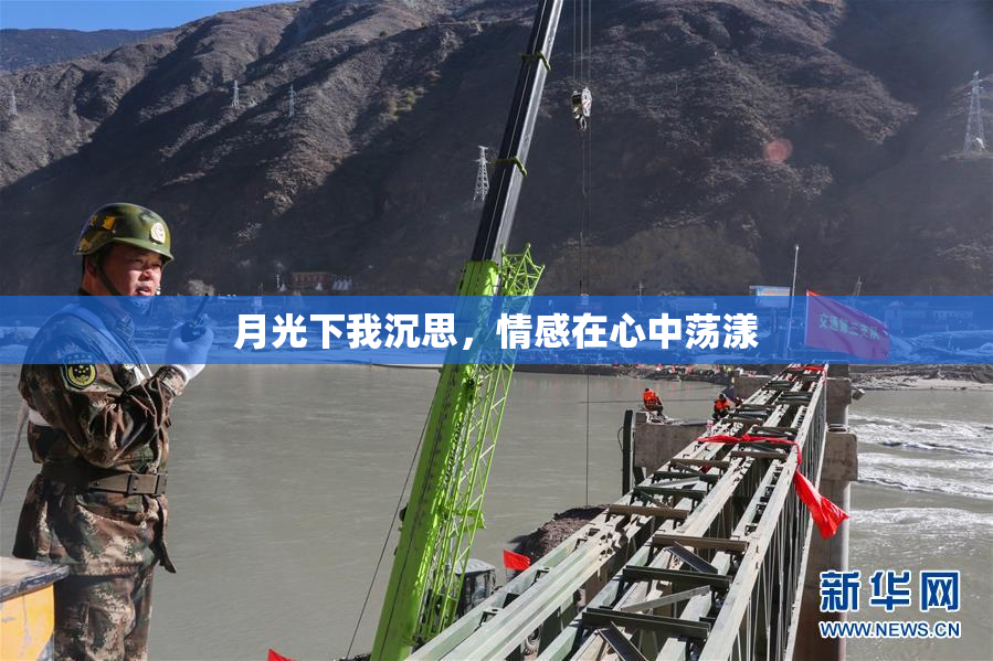 月光下我沉思，情感在心中荡漾
