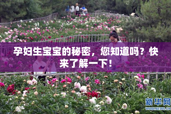 孕妇生宝宝的秘密，您知道吗？快来了解一下！