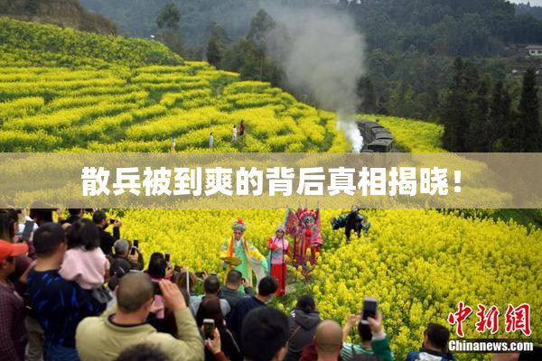 散兵被到爽的背后真相揭晓！